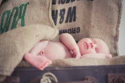 newborn photography sutherland shire